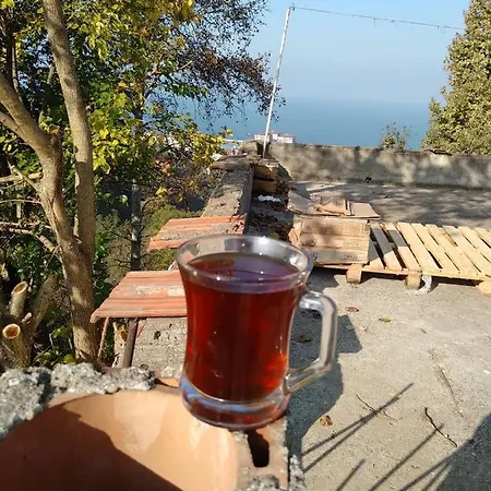 Kutuban Ozel