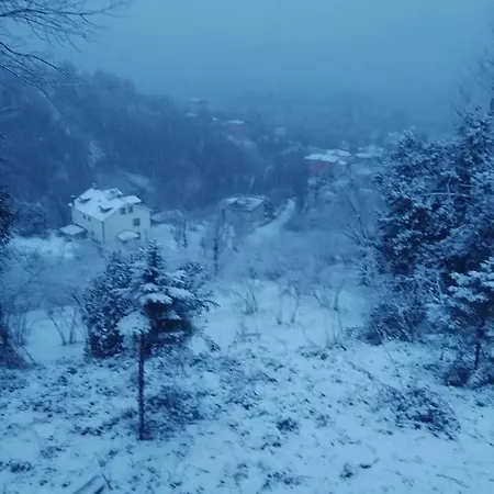 Kutuban Ozel Frühstückspension Trabzon